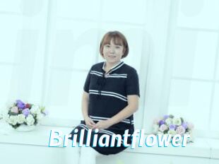 Brilliantflower