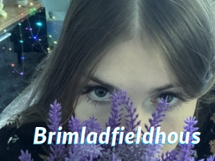 brimladfieldhous J Mine