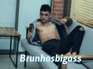 Brunhosbigass