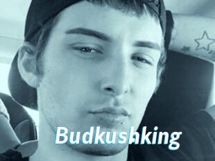 Budkushking
