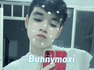 Bunnymaxi