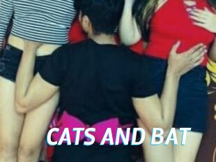 CATS_AND_BAT