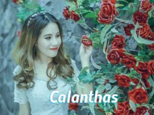 Calanthas