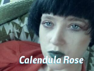 Calendula_Rose