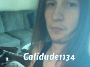 Calidude1134