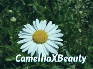 Camellia_XBeauty
