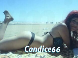 Candice66