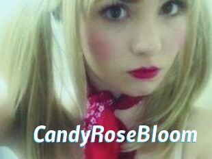 CandyRoseBloom