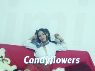 Candyflowers