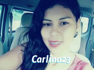Carlina23