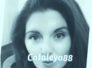 Cataleya88