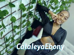 CataleyaEbony