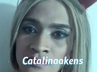 Catalinaakens