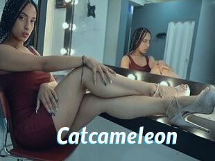 Catcameleon