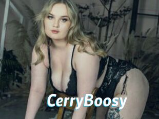 CerryBoosy