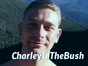 CharleyInTheBush