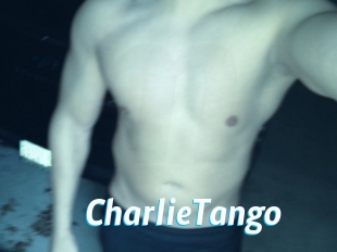 CharlieTango J Mine