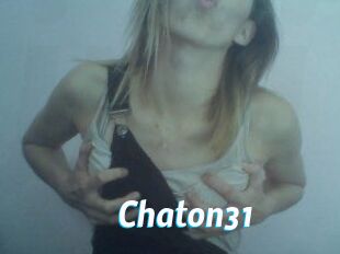 Chaton31