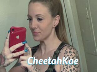 CheetahKae