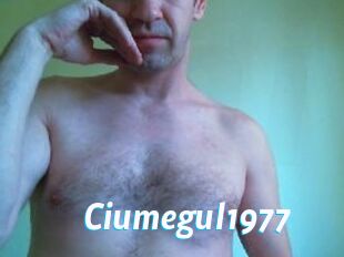 Ciumegul1977