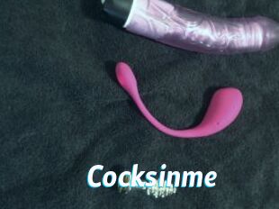 Cocksinme