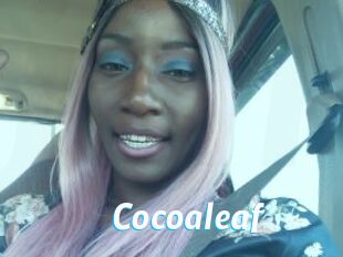 Cocoaleaf