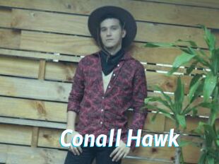 Conall_Hawk