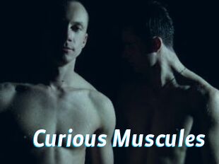Curious_Muscules