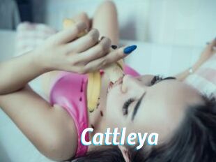 _Cattleya