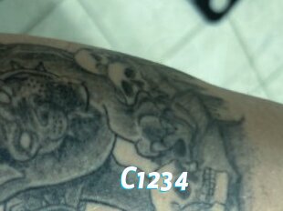 C1234