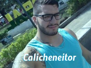 Calicheneitor