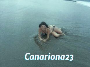 Canariona23