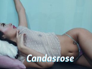 Candasrose