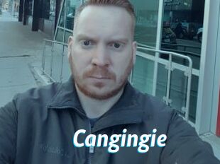 Cangingie