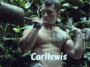 carllewis J Mine