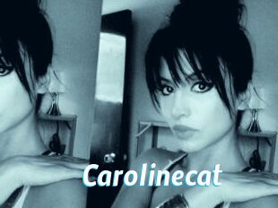 Carolinecat