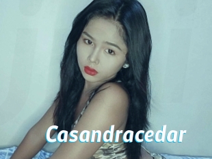 Casandracedar