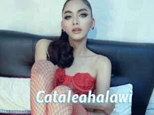 Cataleahalawi
