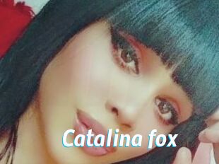 Catalina_fox