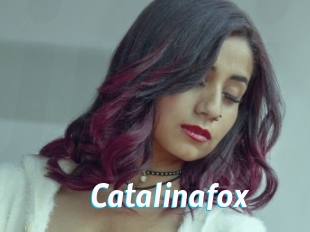 Catalinafox