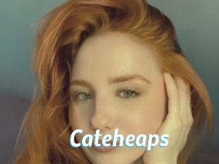Cateheaps