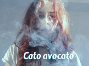 Cato_avocato