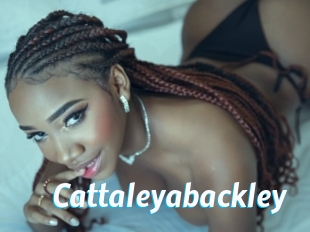 Cattaleyabackley
