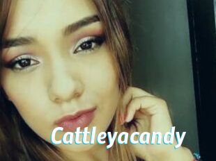 cattleyacandy J Mine
