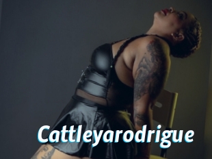 cattleyarodrigue J Mine