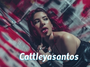 Cattleyasantos