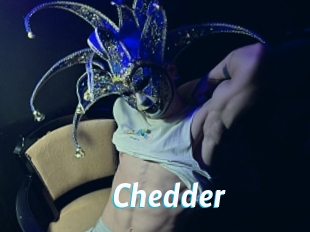 Chedder