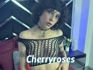 Cherryroses