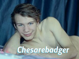 Chesarebadger