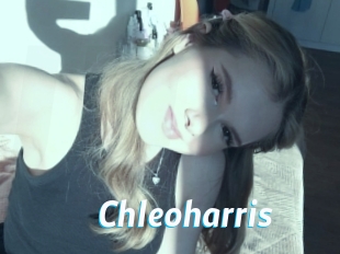 Chleoharris